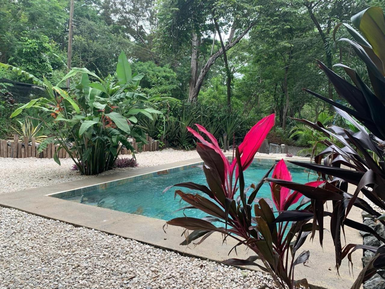 Cabinas De Lou Eco Tamarindo Luxury tent *