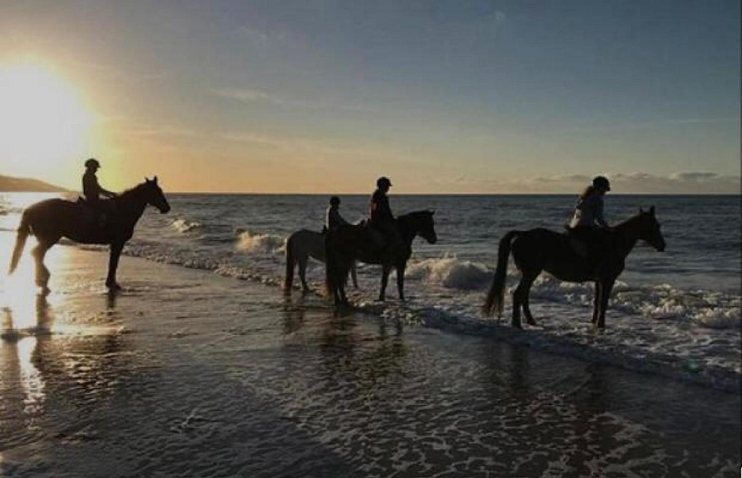 Luxury tent Cabinas De Lou Eco Tamarindo