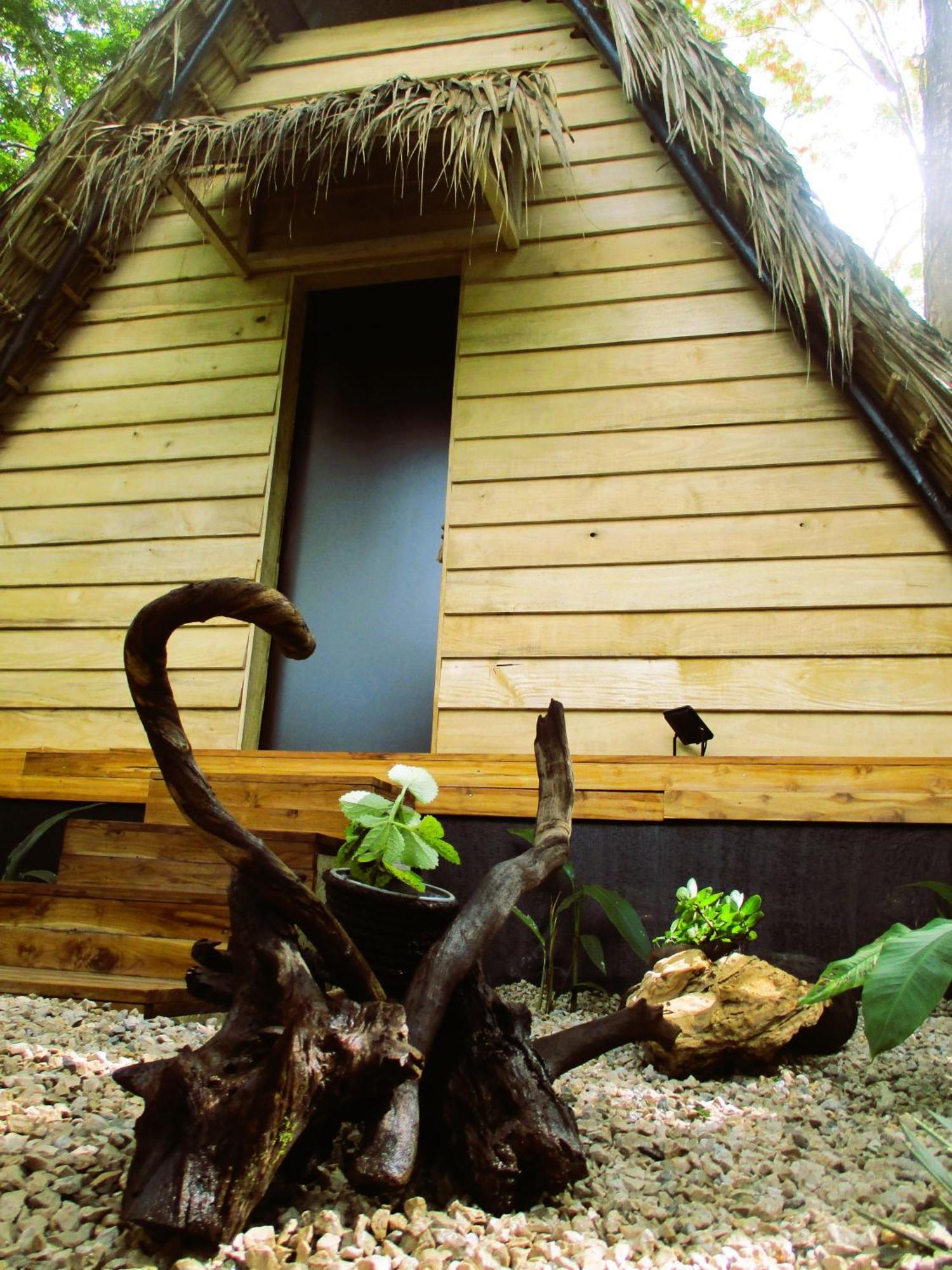 Cabinas De Lou Eco Tamarindo Santa Rosa (Tamarindo)