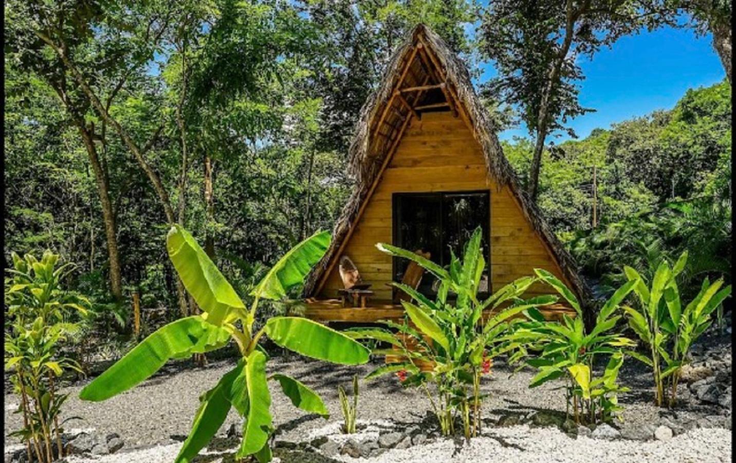 Cabinas De Lou Eco Tamarindo Santa Rosa (Tamarindo)