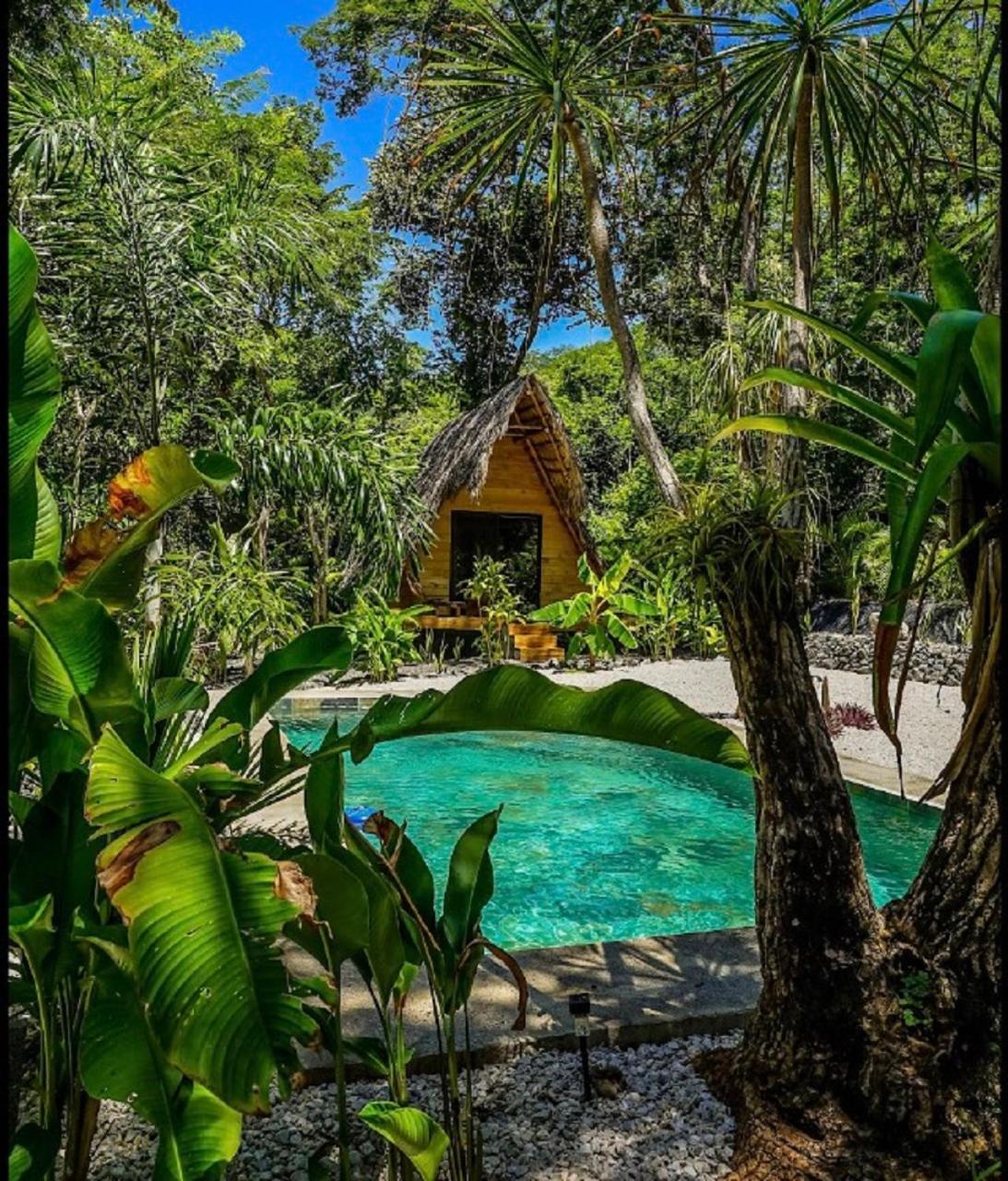 Cabinas De Lou Eco Tamarindo * Santa Rosa (Tamarindo)