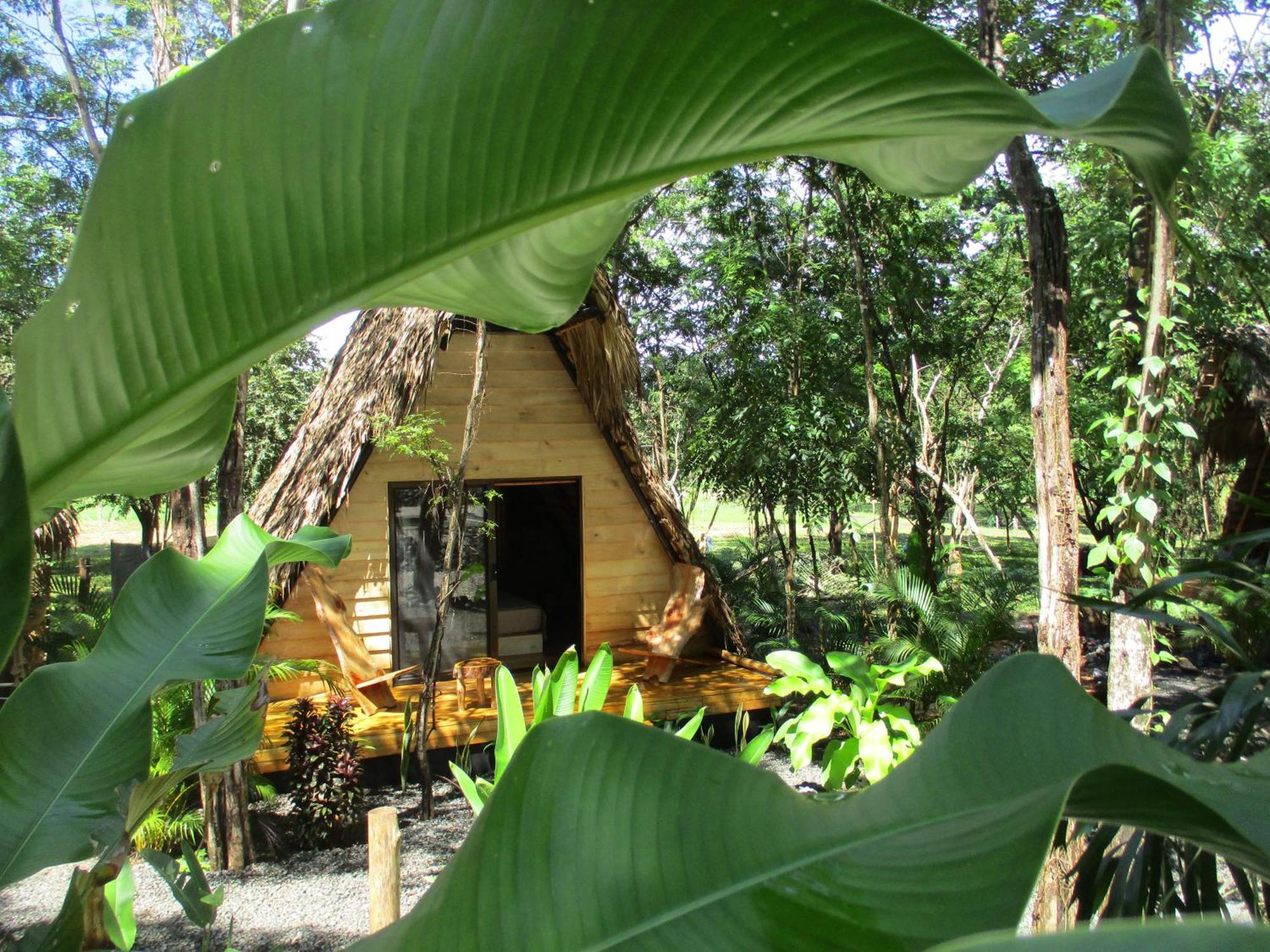 Cabinas De Lou Eco Tamarindo Luxury tent *