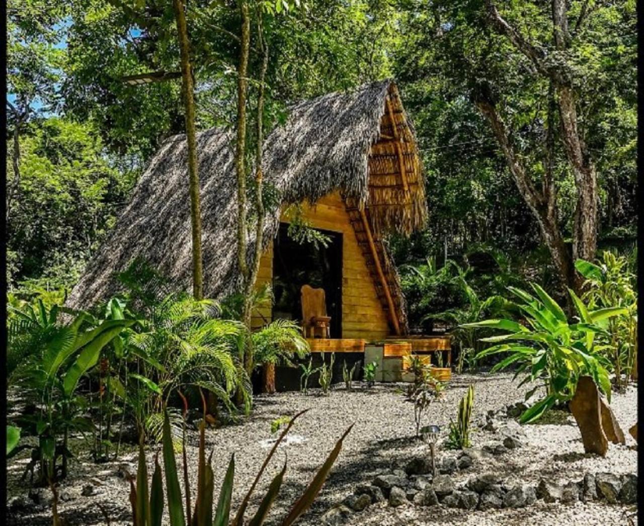 Luxury tent Cabinas De Lou Eco Tamarindo